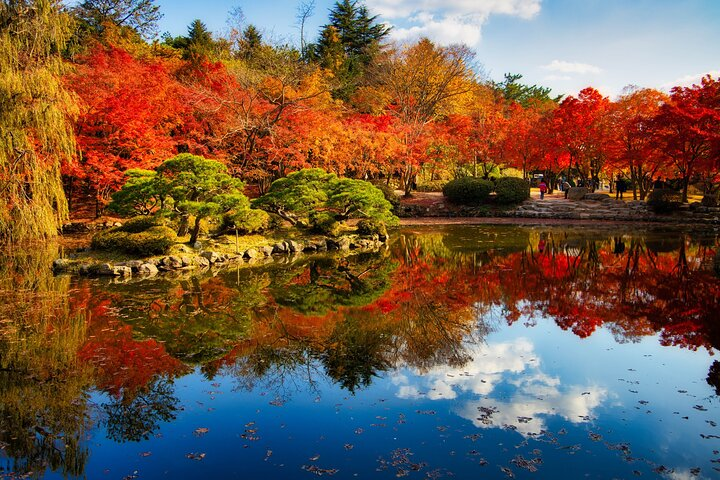 Private Tour Gyeongju Highlights Full-Day from Busan - Photo 1 of 6